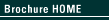 Brochure Home